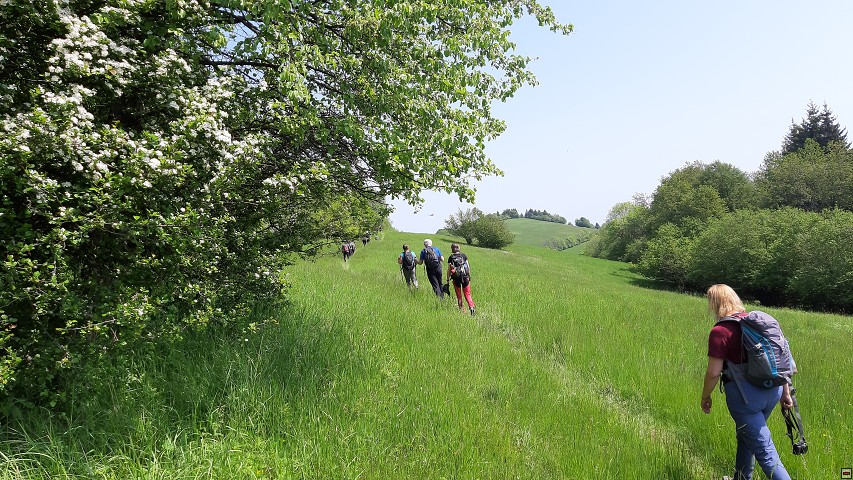 img00013.jpg
