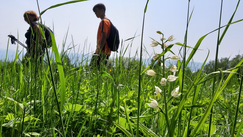 img00016.jpg