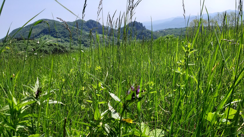 img00018.jpg