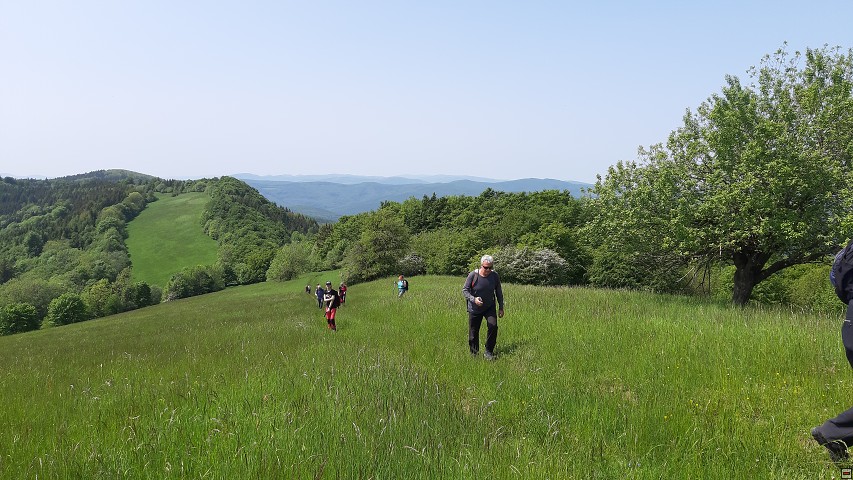 img00020.jpg