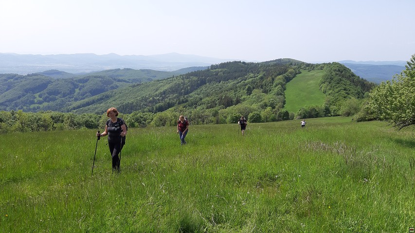 img00021.jpg