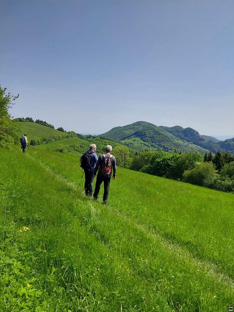img00024.jpg