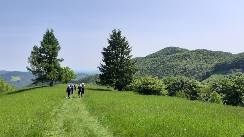 img00025.jpg