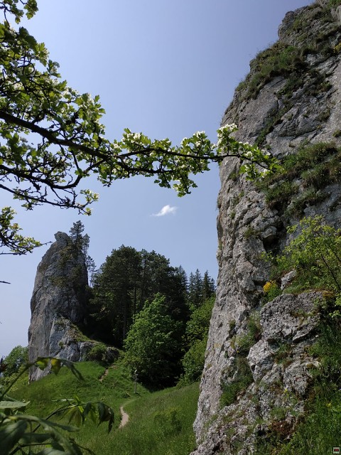 img00032.jpg