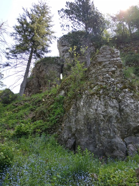 img00033.jpg