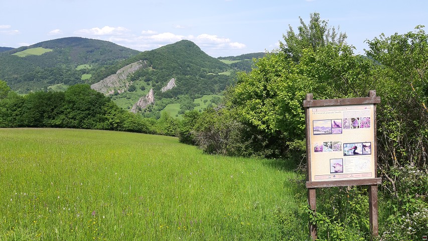 img00049.jpg