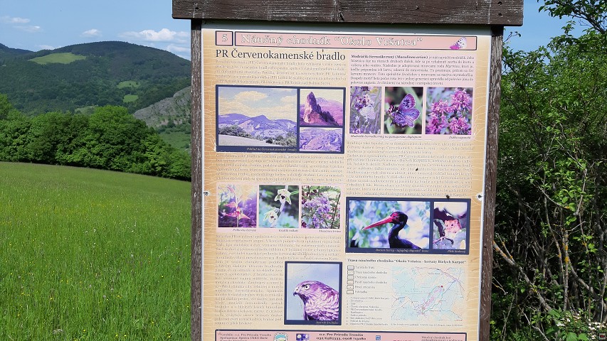 img00050.jpg