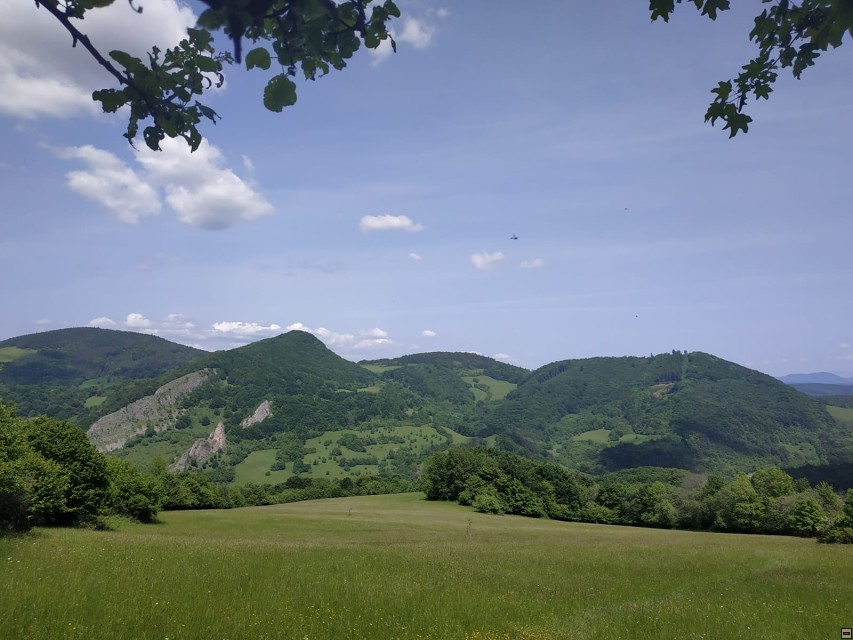 img00052.jpg