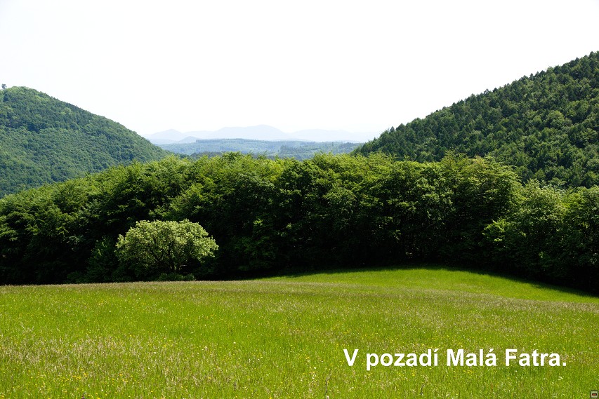 img00053.jpg