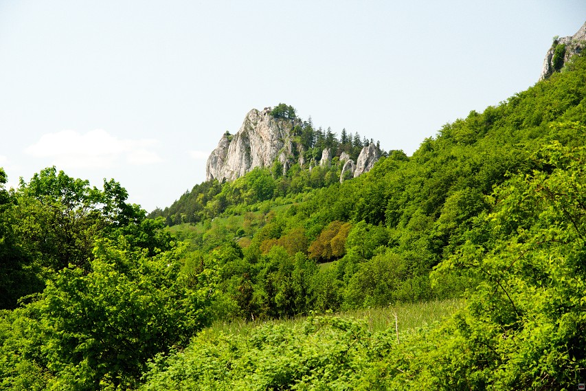 img00054.jpg