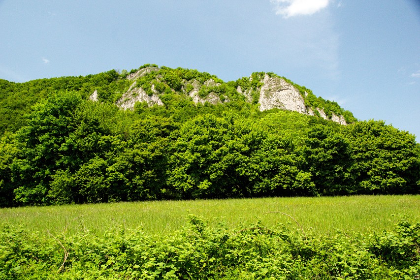 img00055.jpg