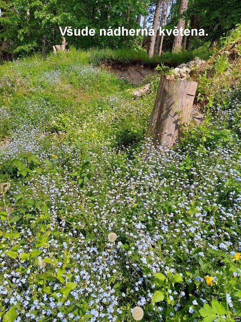 img00058.jpg