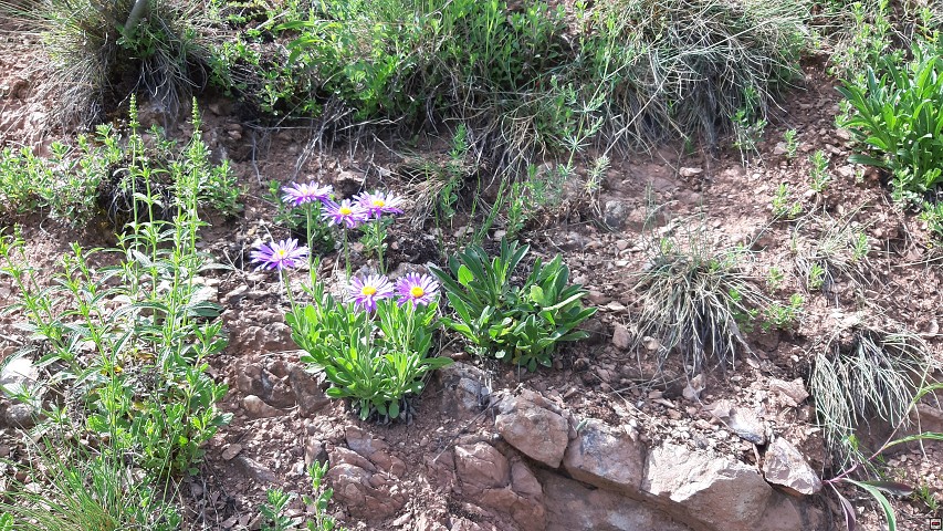 img00059.jpg