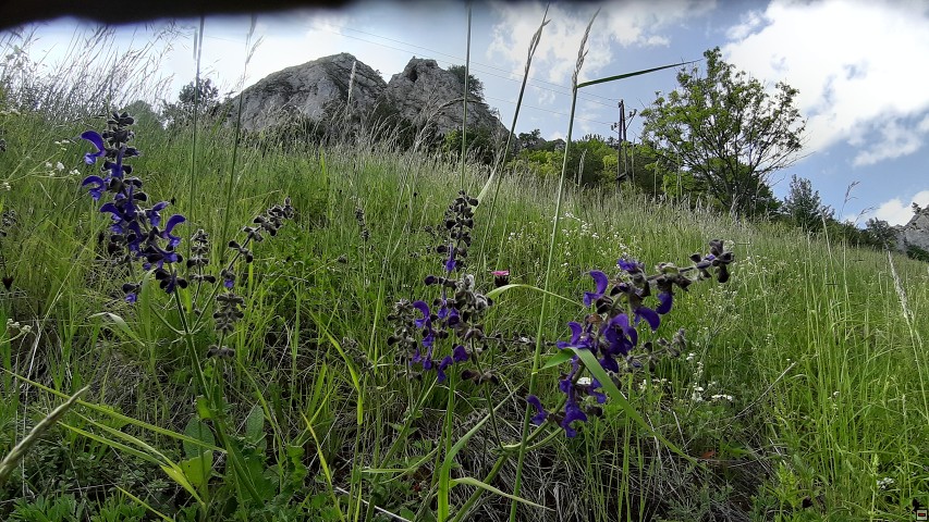 img00063.jpg