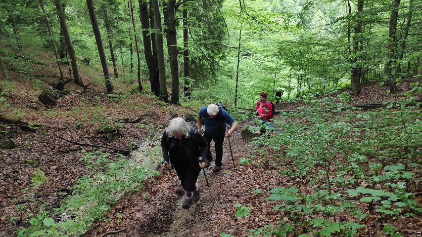 img00005.jpg