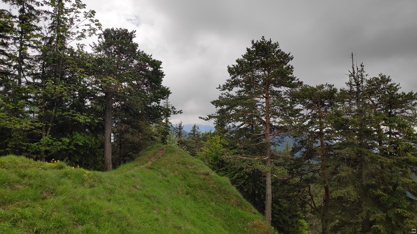 img00013.jpg