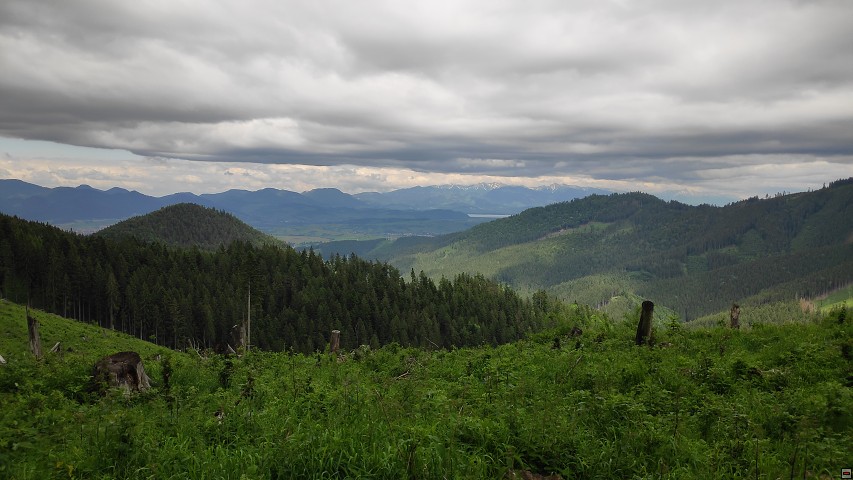 img00014.jpg