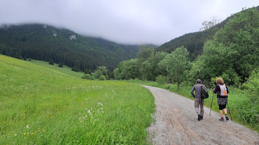 img00006.jpg