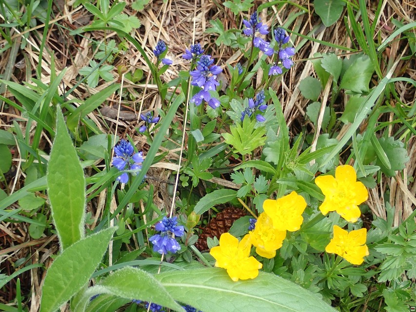 img00037.jpg