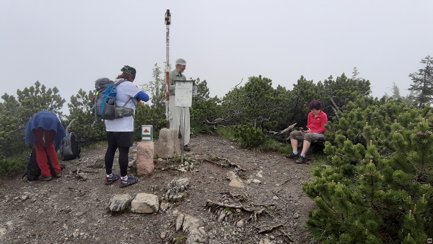 img00043.jpg