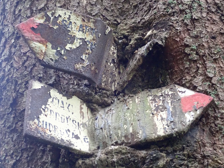 img00049.jpg