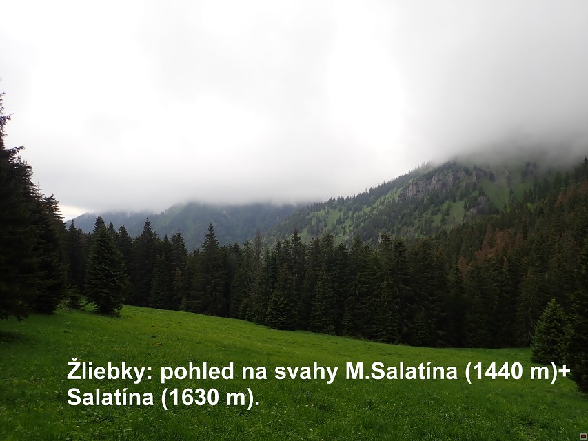 img00050.jpg