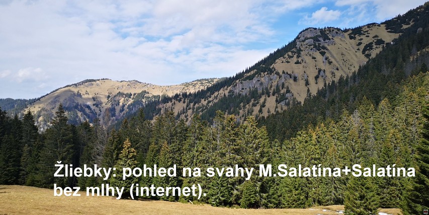 img00051.jpg