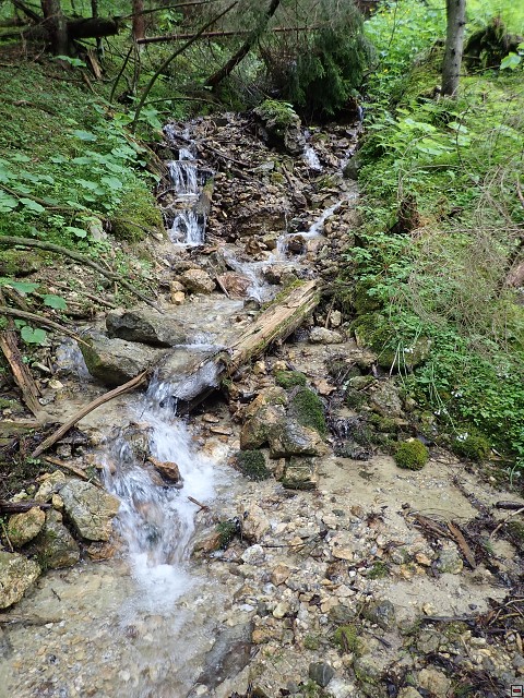 img00054.jpg