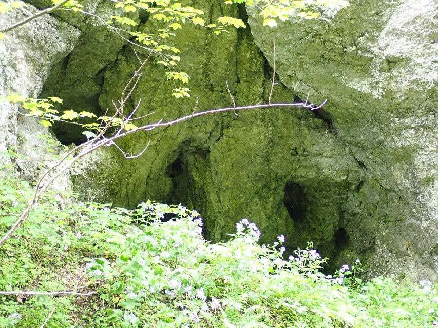 img00056.jpg