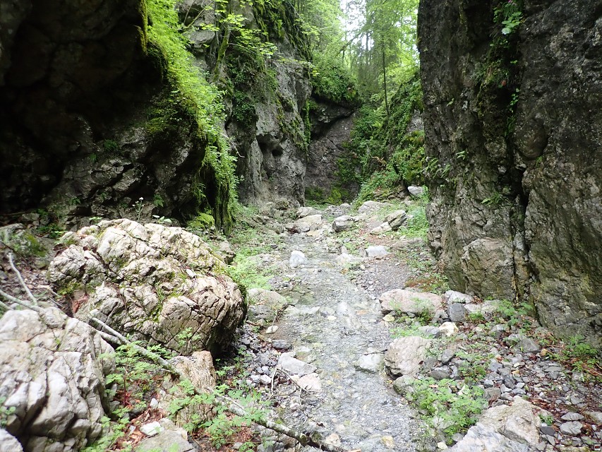 img00058.jpg