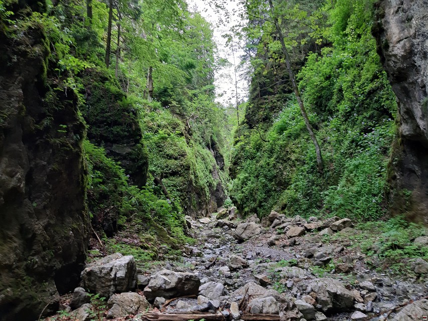 img00059.jpg
