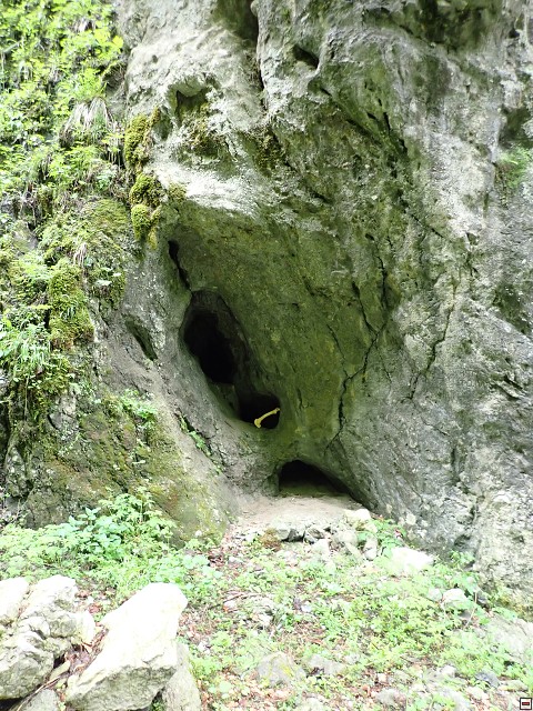 img00060.jpg