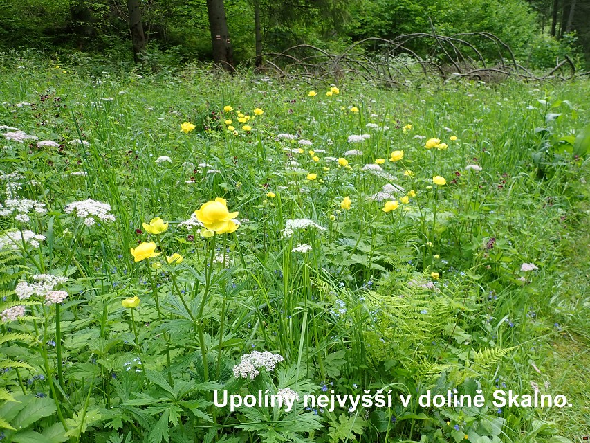img00066.jpg