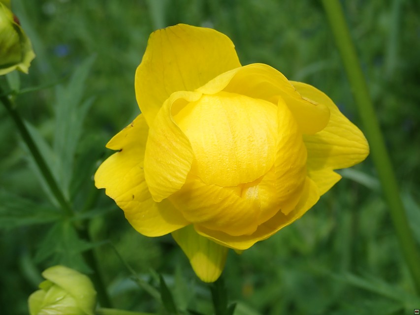 img00067.jpg