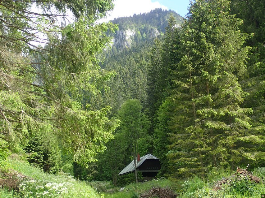 img00069.jpg