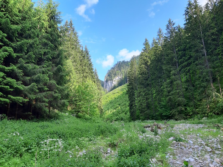img00072.jpg