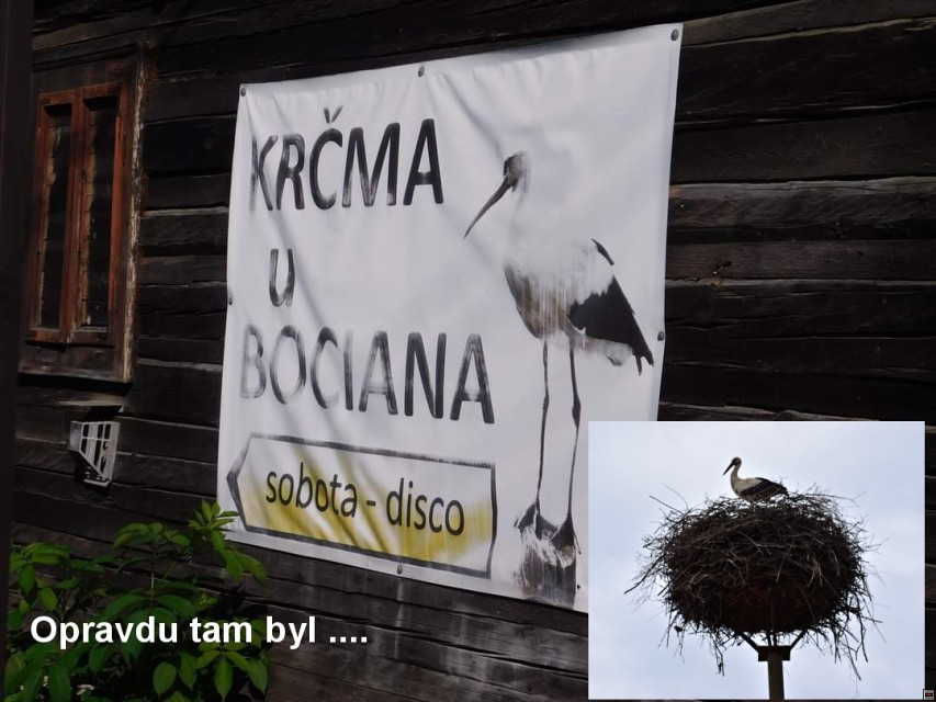 img00087.jpg