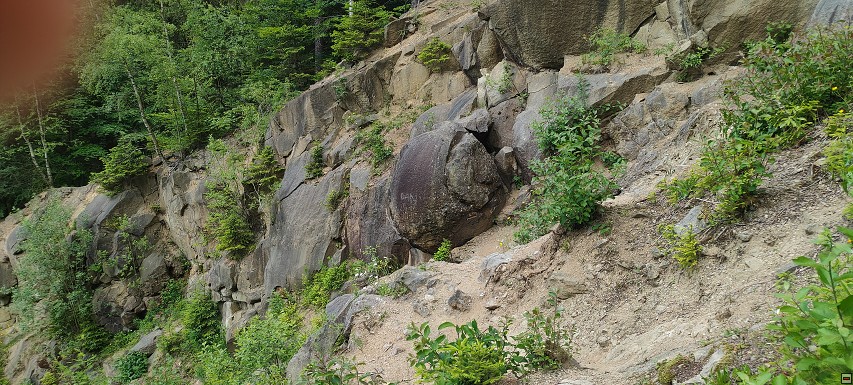 img00006.jpg
