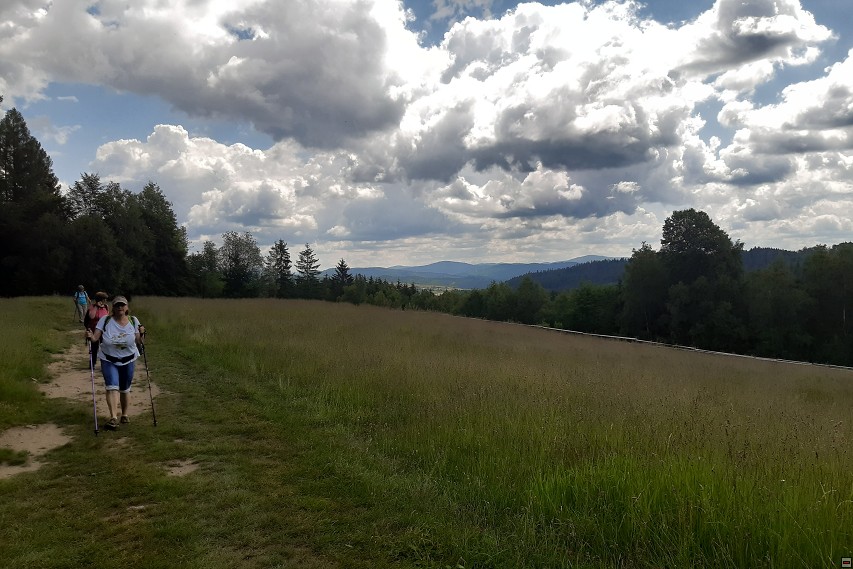 img00012.jpg