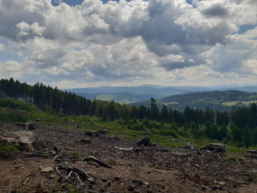 img00019.jpg
