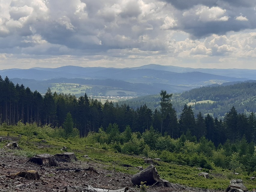 img00020.jpg