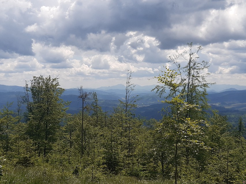 img00027.jpg
