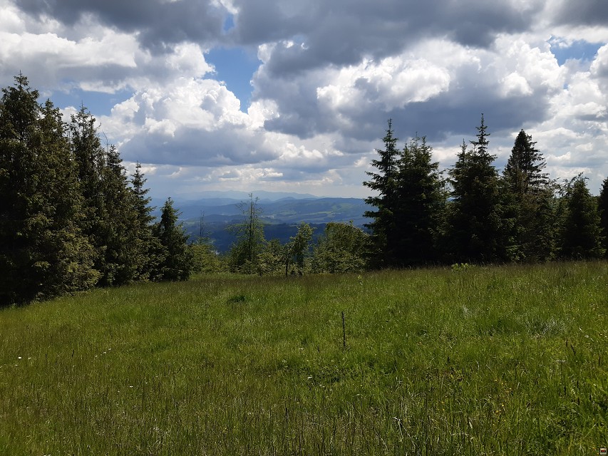 img00031.jpg
