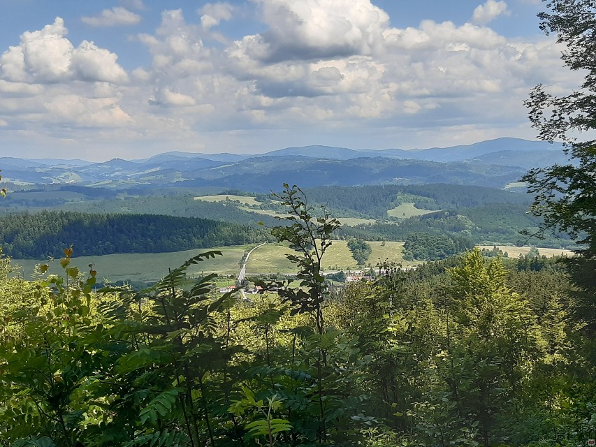 img00036.jpg