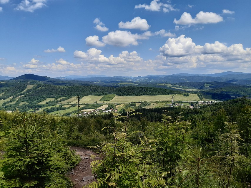 img00037.jpg