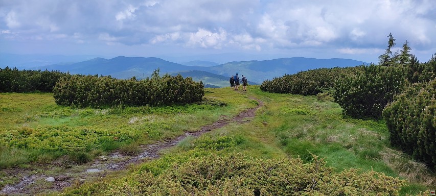 img00012.jpg