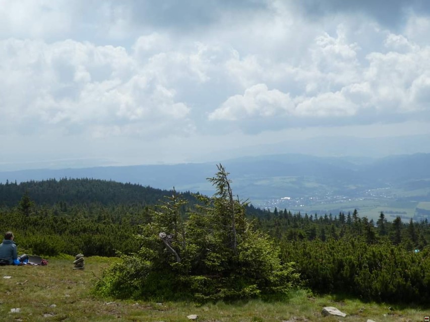 img00017.jpg