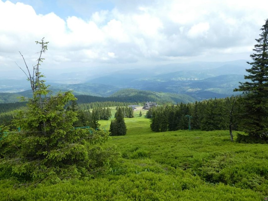 img00020.jpg