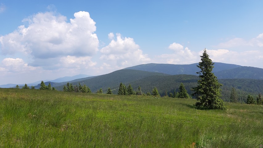 img00028.jpg