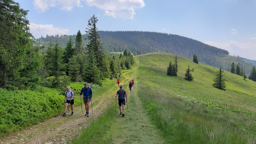 img00033.jpg